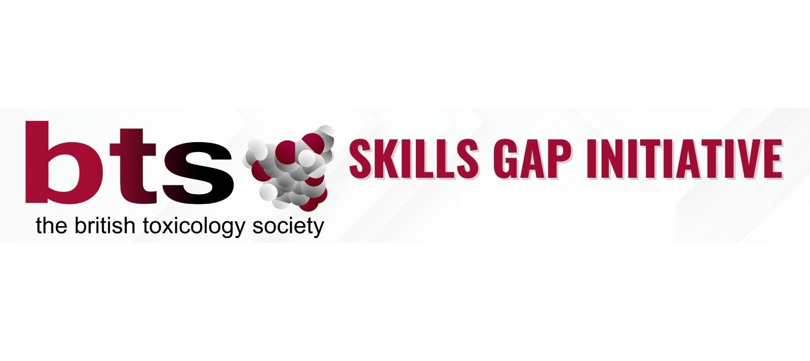 BTS Skills Gap